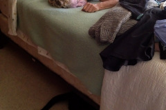 Sleeping-Shari-and-Bleeping-Black-Cat_9347