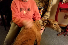 ©-Ken-Steinhoff-LaFern-Stiver-12-08-2017_190646