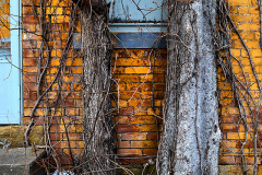 House in alley between Good Hope and Morgan Oak 03-02-2013