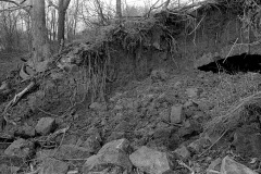 Beer or wine cellar uncovered near SEMO on North Sprigg April 1966