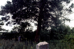 Cruse-Cemetery-Toga-c-1974