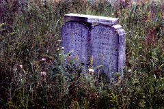 Cruse Cemetery near Toga c 1974