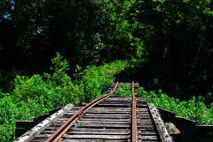 St Louis and Iron Mountain Railroad tracks between Dutchtown and Jackson 07-25-2012