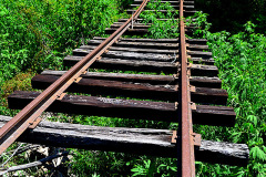 St Louis and Iron Mountain Railroad tracks between Dutchtown and Jackson 07-25-2012