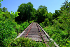 St Louis and Iron Mountain Railroad tracks between Dutchtown and Jackson 07-25-2012