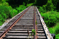 St Louis and Iron Mountain Railroad tracks between Dutchtown and Jackson 07-25-2012