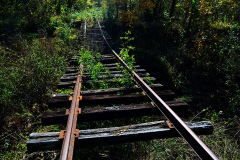 St Louis and Iron Mountain Railroad bridge over Williams Creek 10-18-2012