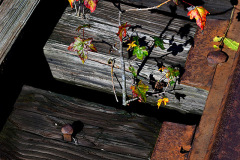 St Louis and Iron Mountain Railroad bridge over Williams Creek 10-18-2012