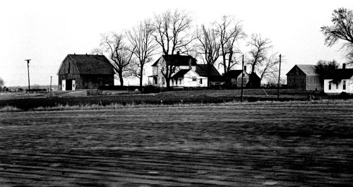 Farmlands from a speeding car 2