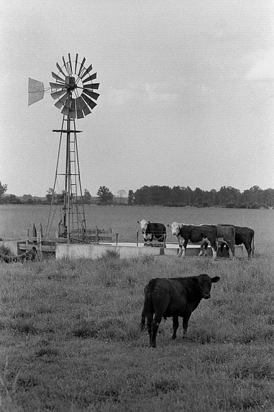 Allen Henderson windmill 06-06-1967