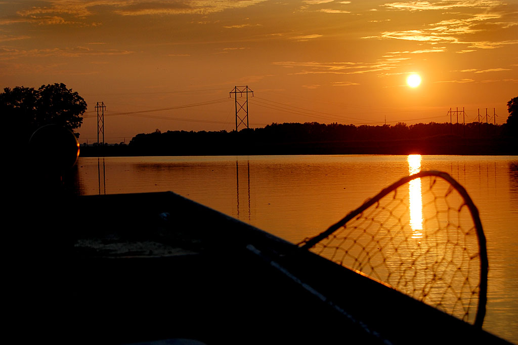 Trotline Fishing Archives - Cape Girardeau History and Photos