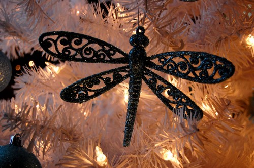 Altenburg Christmas Exhibit 12-15-2011