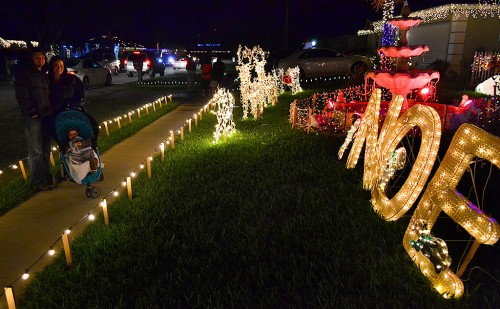 Adam - Carly - Graham Steinhoff Christmas lights FL 12-21-2012_0252