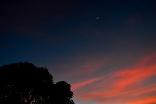 Sunset and moon from front yard 12-16-2012