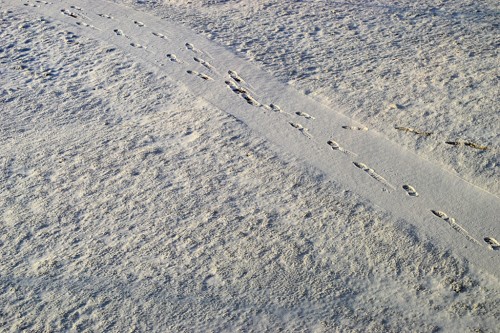 Athens Snow 01-24-2013