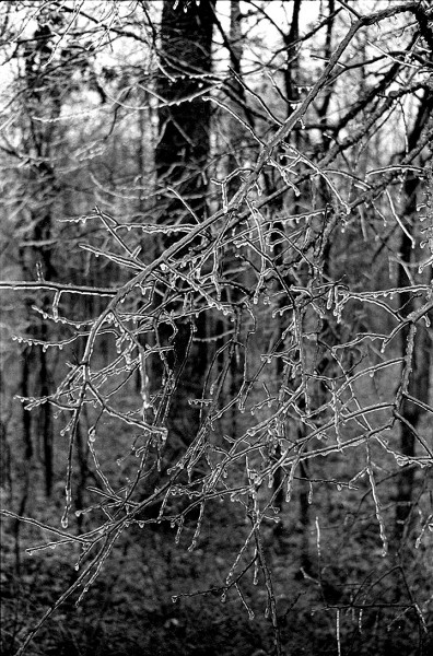 Ice Storm