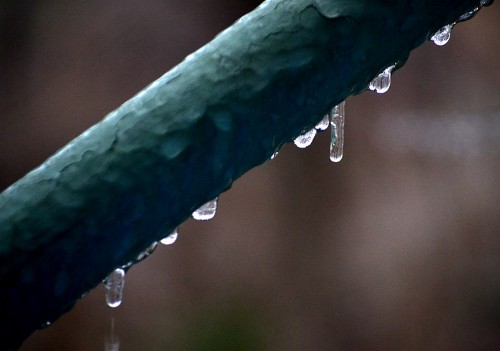 Cape ice storm 02-21-2013_2471