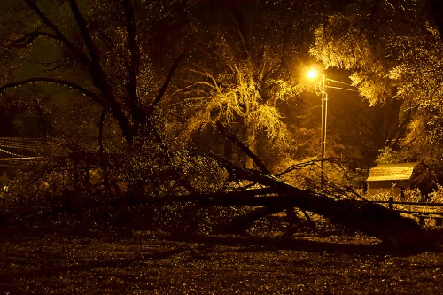 Cape ice storm 02-21-2013_2555