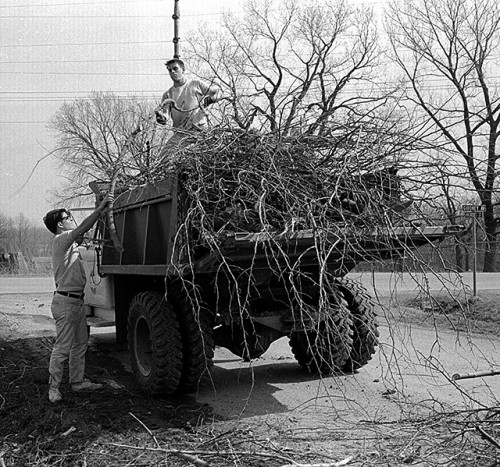 APO Work Project Civic Center 03-11-1967 10