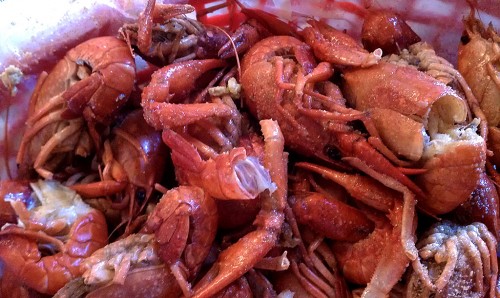 Crawfish at Bubba Jax in Valdosta GA 03-06-2013