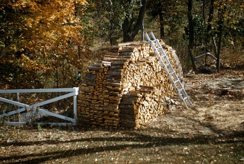 Woodpile at 1618 Kingway Drive Nov 1961