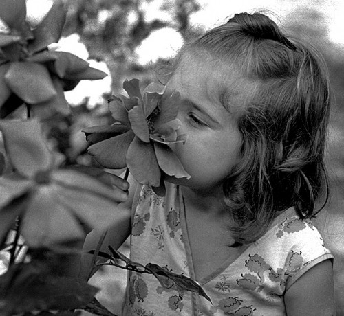 Karen Lampher at Capaha Park Rose Garden 06-11-1966