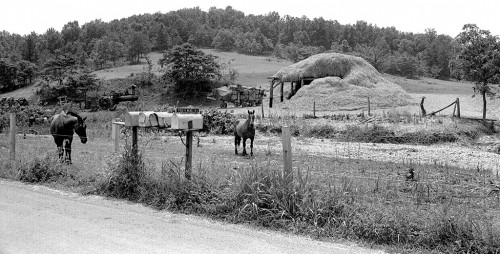 Fred Nebel Farm Rt 1 c 1965