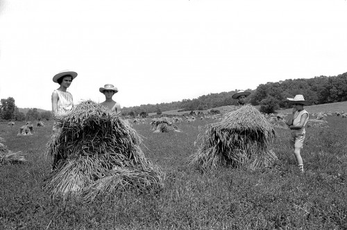 Fred Nebel Farm Rt 1 c 1965