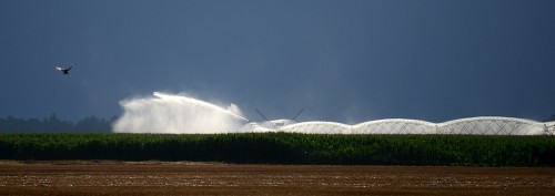 Irrigation system Charleston 06-29-2013