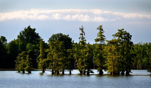 Horseshoe Lake 07-10-2013_4625