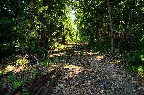 St Louis and Iron Mountain tracks Allenville 07-12-2013_6130