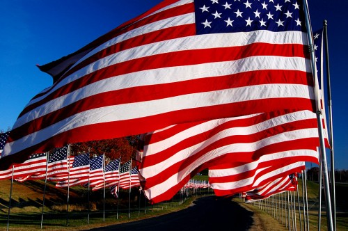 Flags flying on Veterans Day at North County Park 11-11-2011