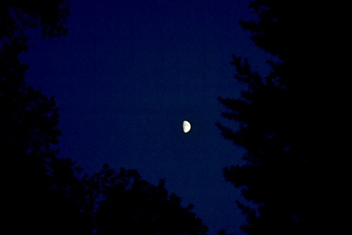 Moon 08-15-2013_5277