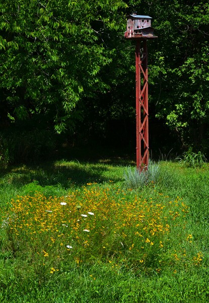 Old Appleton bird house 07-11-2013