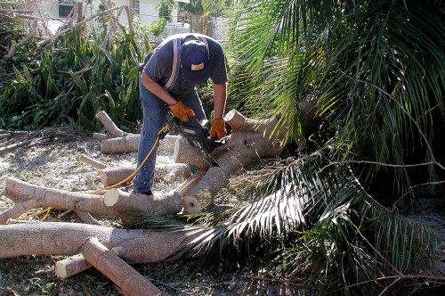 Ken Steinhoff Hurricane Frances 09-11-2004 5309