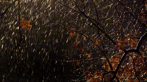 Athens Ohio Winter Storm 11-26-2013
