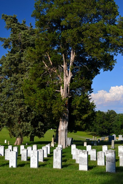 Stoddard County Confederate Memorial Cemetery 06-29-2013