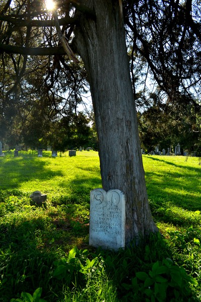 Stoddard County Confederate Memorial Cemetery 06-29-2013