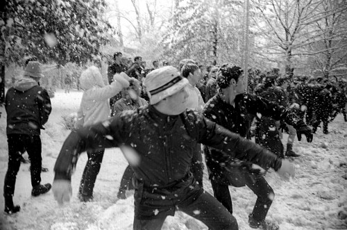 1967 Snowball "Riot"