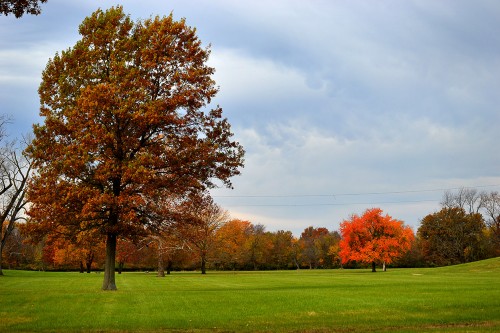 Cahokia Mounds 11-04-2013