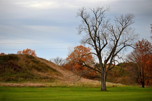 Cahokia Mounds 11-04-2013