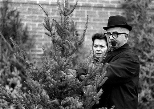 Christmas Tree Lot 12-12-1966