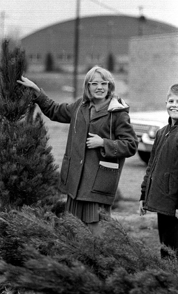 Christmas Tree Lot 12-12-1966