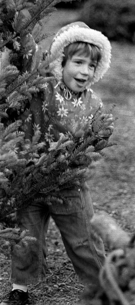 Christmas Tree Lot 12-12-1966