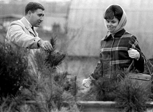 Christmas Tree Lot 12-12-1966