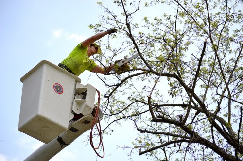 Utility Co Tree Trimming Kingsway Dr 04-24-2014