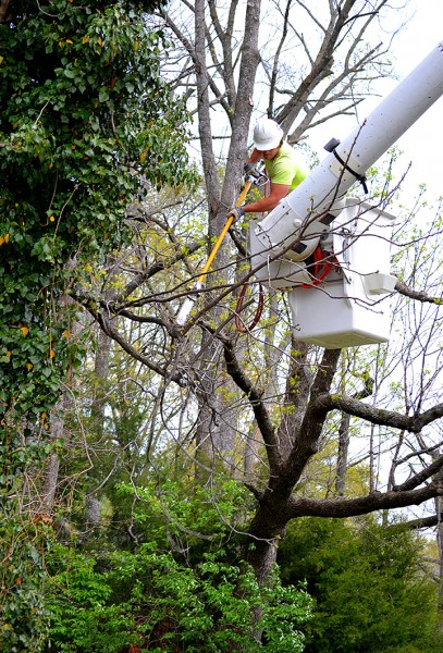 Utility Co Tree Trimming Kingsway Dr 04-24-2014