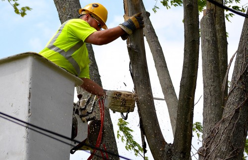 Utility Co Tree Trimming Kingsway Dr 04-24-2014