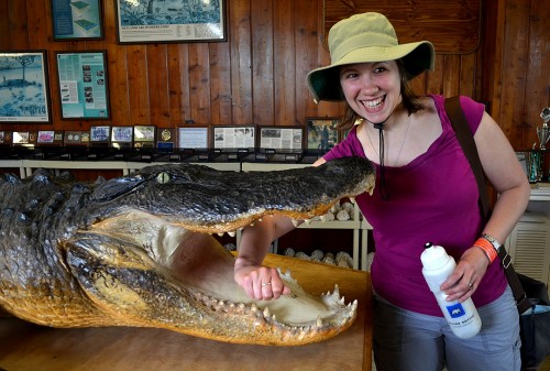 Loxahatchee Everglades Tours - Airboat ride - 05-17-2014