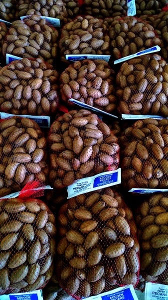 Adcock Pecans - Tifton GA 07-24-2014